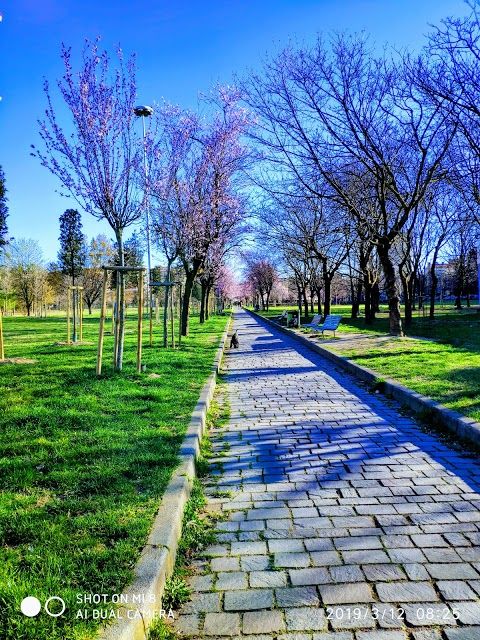 Parco Martiri della Liberta Iracheni Vittime del Terrorismo